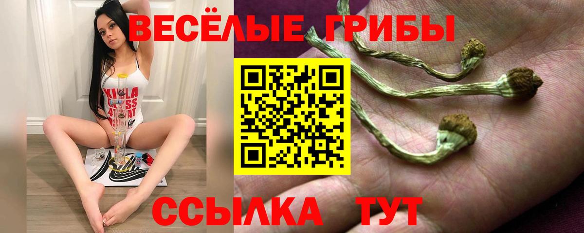 Галлюциногенные грибы ЛСД  Вход с VPN  даркнет сайт  Псилоцибиновые грибы Psilocybine cubensis  Орехово-Зуево 